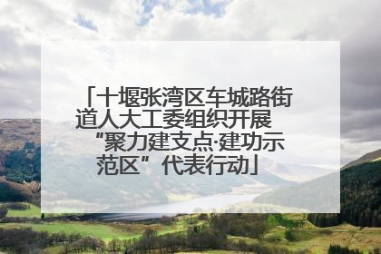 十堰张湾区车城路街道人大工委组织开展 “聚力建支点·建功示范区”代表行动