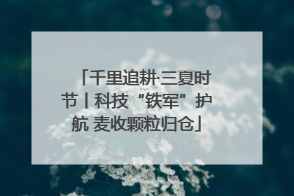 千里追耕·三夏时节丨科技“铁军”护航 麦收颗粒归仓