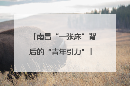 南昌“一张床”背后的“青年引力”