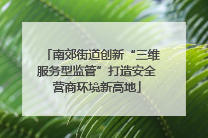 南郊街道创新“三维服务型监管”打造安全营商环境新高地