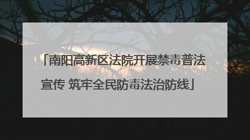 南阳高新区法院开展禁毒普法宣传 筑牢全民防毒法治防线