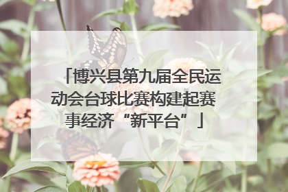 博兴县第九届全民运动会台球比赛构建起赛事经济“新平台”