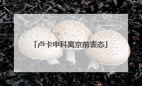 卢卡申科离京前表态