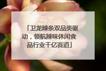 卫龙辣条双品类驱动，领航辣味休闲食品行业千亿赛道