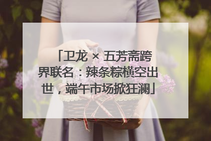 卫龙 × 五芳斋跨界联名：辣条粽横空出世，端午市场掀狂澜