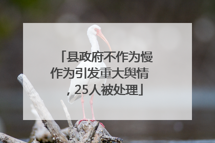 县政府不作为慢作为引发重大舆情，25人被处理