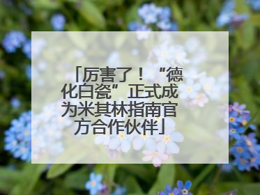 厉害了！“德化白瓷”正式成为米其林指南官方合作伙伴