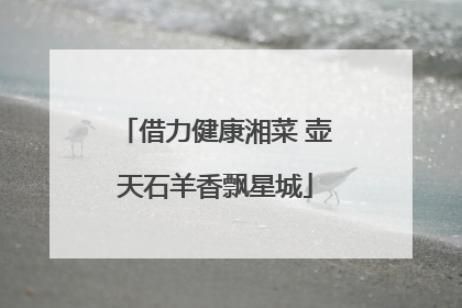 借力健康湘菜 壶天石羊香飘星城