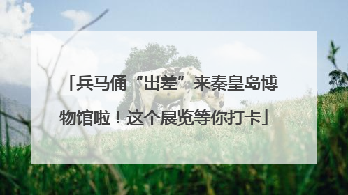 兵马俑“出差”来秦皇岛博物馆啦！这个展览等你打卡