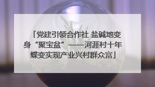 党建引领合作社 盐碱地变身“聚宝盆”——河涯村十年蝶变实现产业兴村群众富