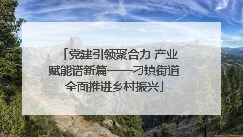 党建引领聚合力 产业赋能谱新篇——刁镇街道全面推进乡村振兴