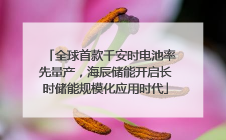 全球首款千安时电池率先量产，海辰储能开启长时储能规模化应用时代
