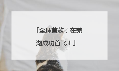 全球首款，在芜湖成功首飞！