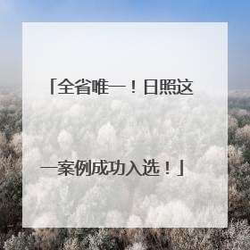 全省唯一！日照这一案例成功入选！