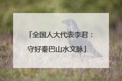 全国人大代表李君：守好秦巴山水文脉