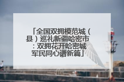 全国双拥模范城（县）巡礼新疆哈密市：双拥花开哈密城 军民同心谱新篇