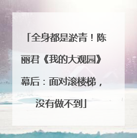 全身都是淤青！陈丽君《我的大观园》幕后：面对滚楼梯，没有做不到