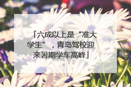 六成以上是“准大学生”，青岛驾校迎来暑期学车高峰