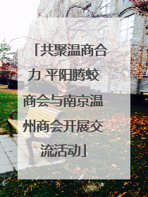 共聚温商合力 平阳腾蛟商会与南京温州商会开展交流活动
