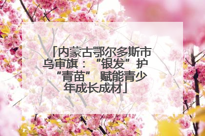 内蒙古鄂尔多斯市乌审旗：“银发”护“青苗” 赋能青少年成长成材