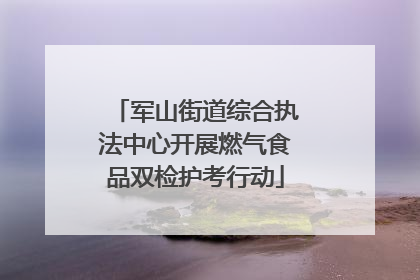 军山街道综合执法中心开展燃气食品双检护考行动