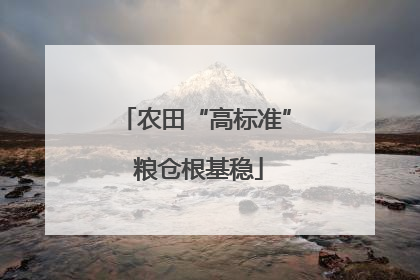 农田“高标准” 粮仓根基稳