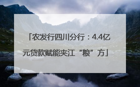 农发行四川分行：4.4亿元贷款赋能夹江“粮”方