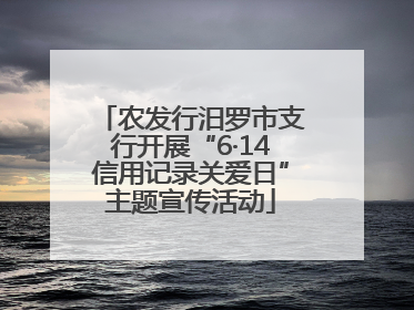 农发行汨罗市支行开展“6·14信用记录关爱日”主题宣传活动
