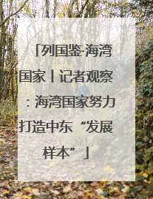 列国鉴·海湾国家丨记者观察：海湾国家努力打造中东“发展样本”