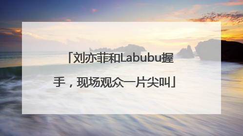 刘亦菲和Labubu握手，现场观众一片尖叫