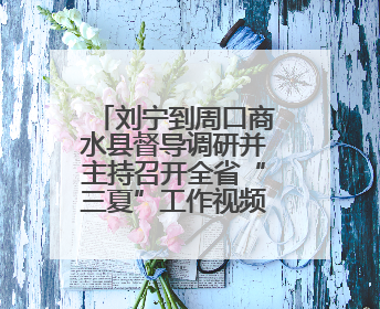 刘宁到周口商水县督导调研并主持召开全省“三夏”工作视频调度会