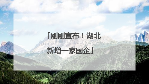 刚刚宣布！湖北新增一家国企