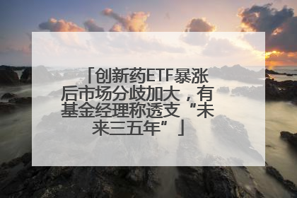创新药ETF暴涨后市场分歧加大，有基金经理称透支“未来三五年”