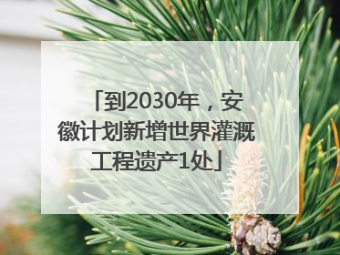 到2030年，安徽计划新增世界灌溉工程遗产1处