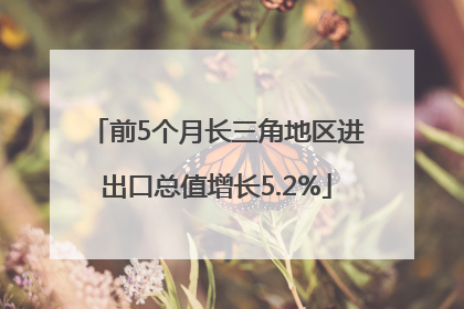 前5个月长三角地区进出口总值增长5.2%