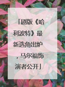 剧版《哈利波特》最新选角出炉，马尔福饰演者公开