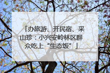 办旅游、开民宿、采山珍：小兴安岭林区群众吃上“生态饭”