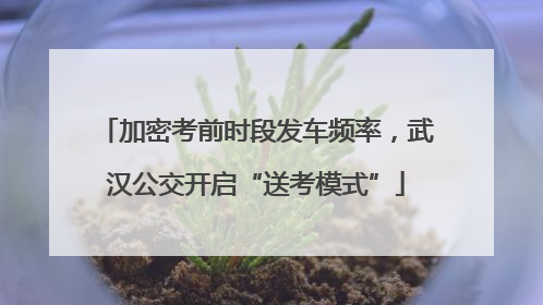 加密考前时段发车频率，武汉公交开启“送考模式”
