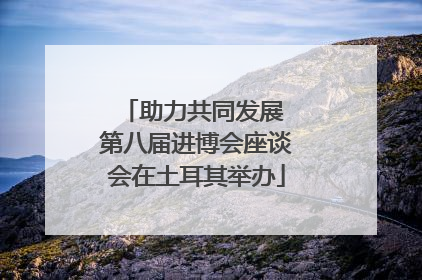 助力共同发展 第八届进博会座谈会在土耳其举办