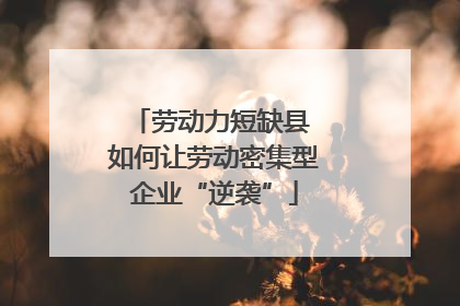 劳动力短缺县 如何让劳动密集型企业“逆袭”