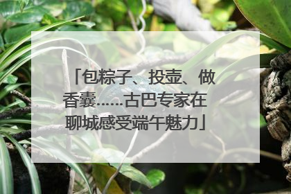 包粽子、投壶、做香囊……古巴专家在聊城感受端午魅力