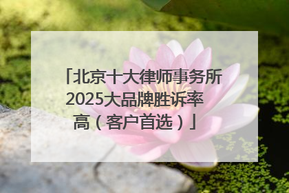 北京十大律师事务所2025大品牌胜诉率高（客户首选）