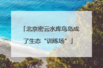 北京密云水库鸟岛成了生态“训练场”