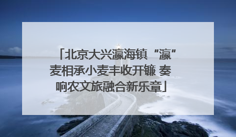 北京大兴瀛海镇“瀛”麦相承小麦丰收开镰 奏响农文旅融合新乐章