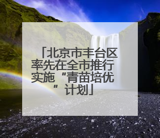 北京市丰台区率先在全市推行实施“青苗培优”计划