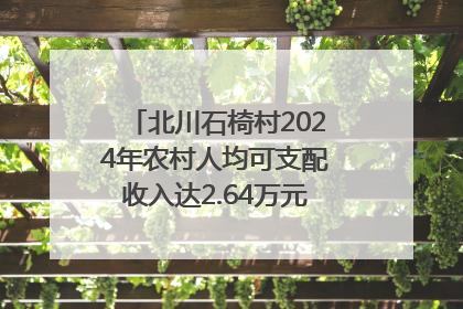 北川石椅村2024年农村人均可支配收入达2.64万元｜新闻发布最前线