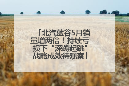 北汽蓝谷5月销量增两倍！持续亏损下“深蹲起跳”战略成效待观察
