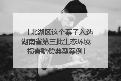北湖区这个案子入选湖南省第三批生态环境损害赔偿典型案例
