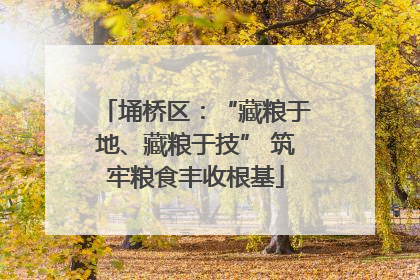 埇桥区：“藏粮于地、藏粮于技” 筑牢粮食丰收根基