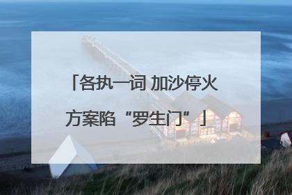 各执一词 加沙停火方案陷“罗生门”